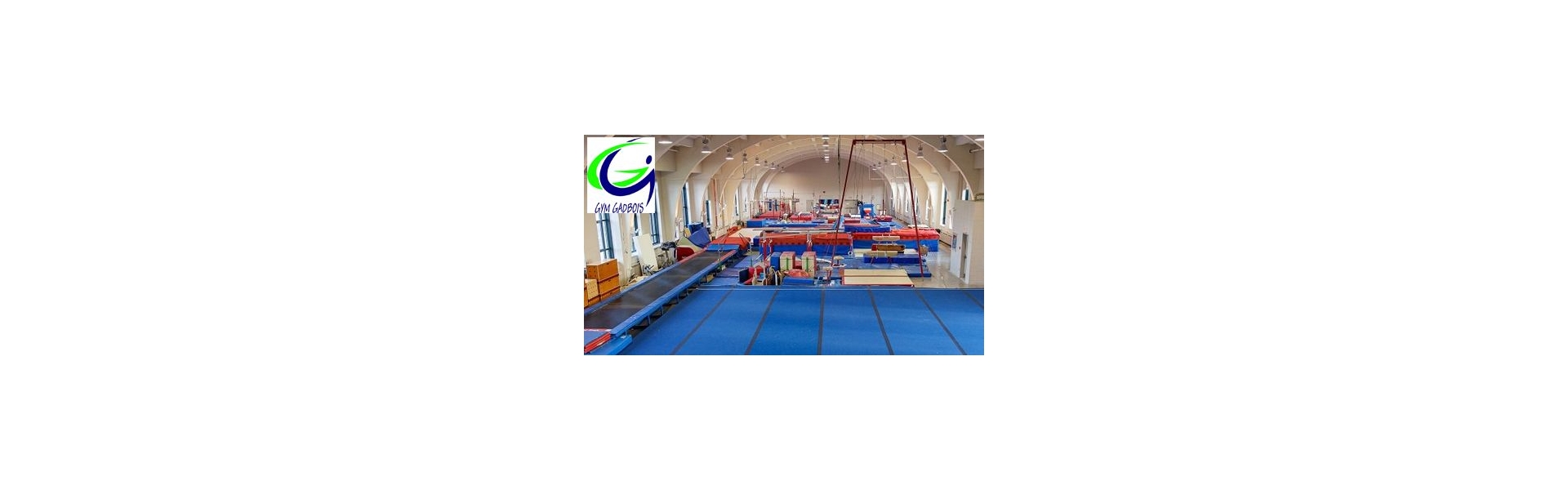 Club De Gymnastique Gadbois Camp De Jour Pour Enfants Camps Montréal Pour Enfants 